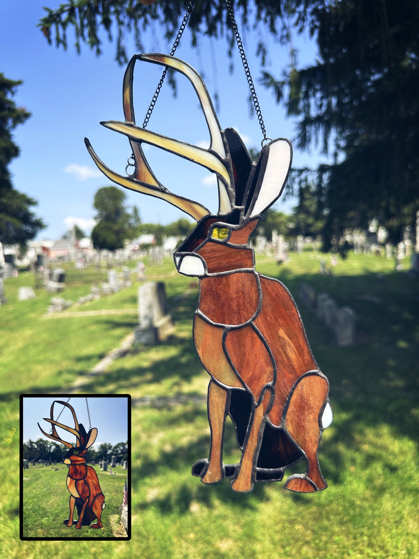 Jackalope