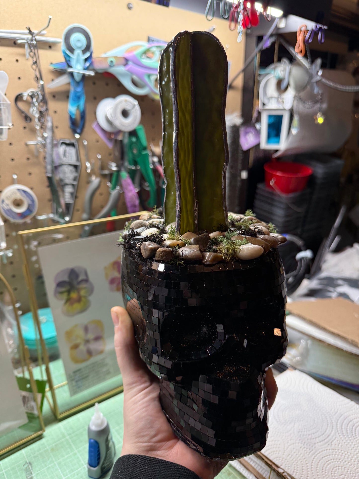 Cactus