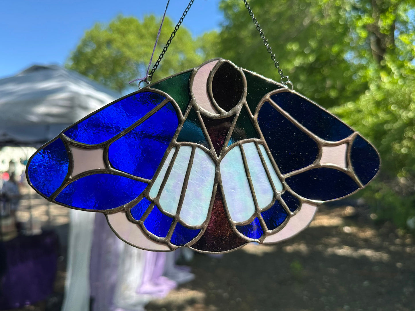 Starlit Lepidoptera