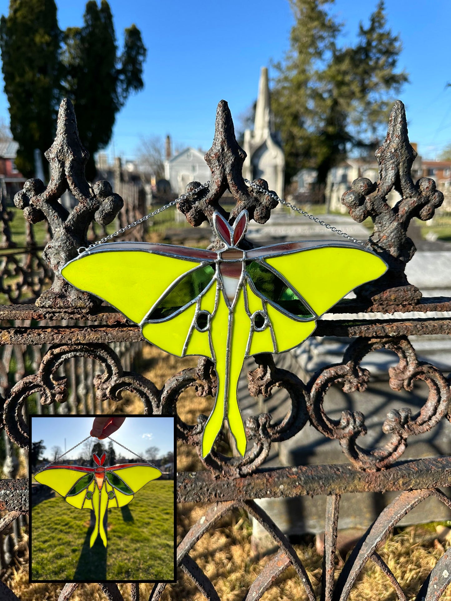 Flora the Luna Moth