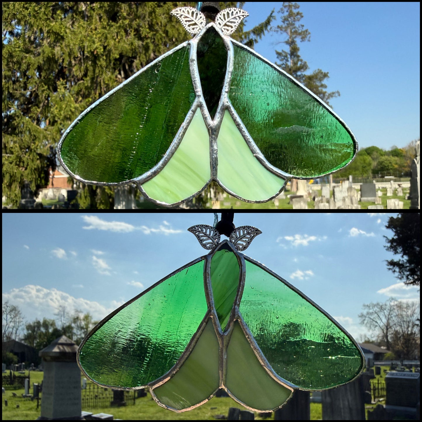 Mini Moths