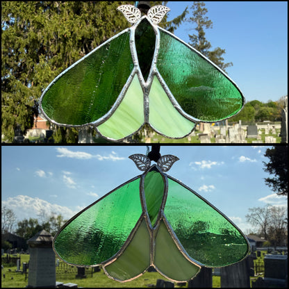 Mini Moths