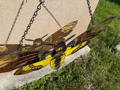 Death's Head Hawk Moth