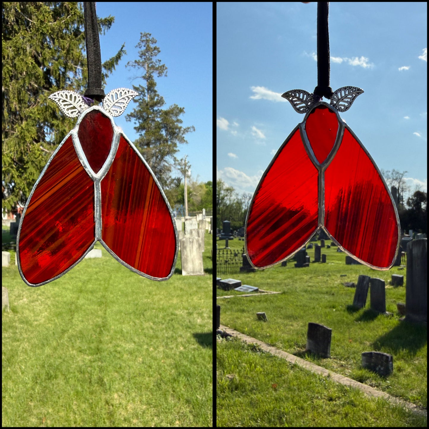 Mini Moths