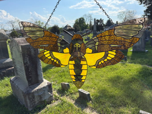 Death's Head Hawk Moth