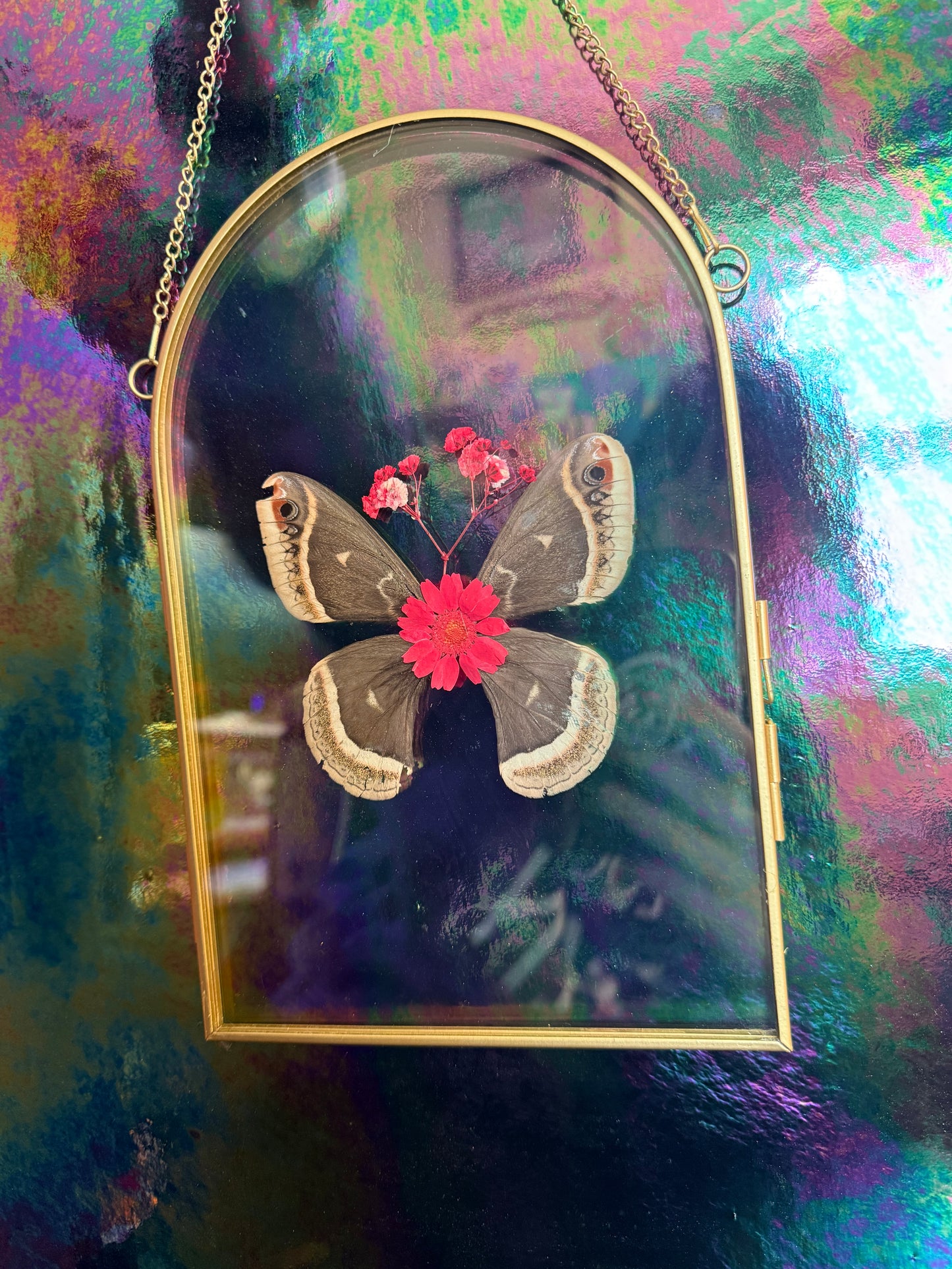 Flora & Fauna Frames — Winged Botanicals