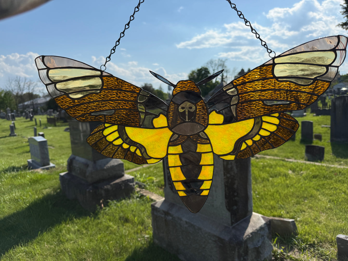 Death's Head Hawk Moth