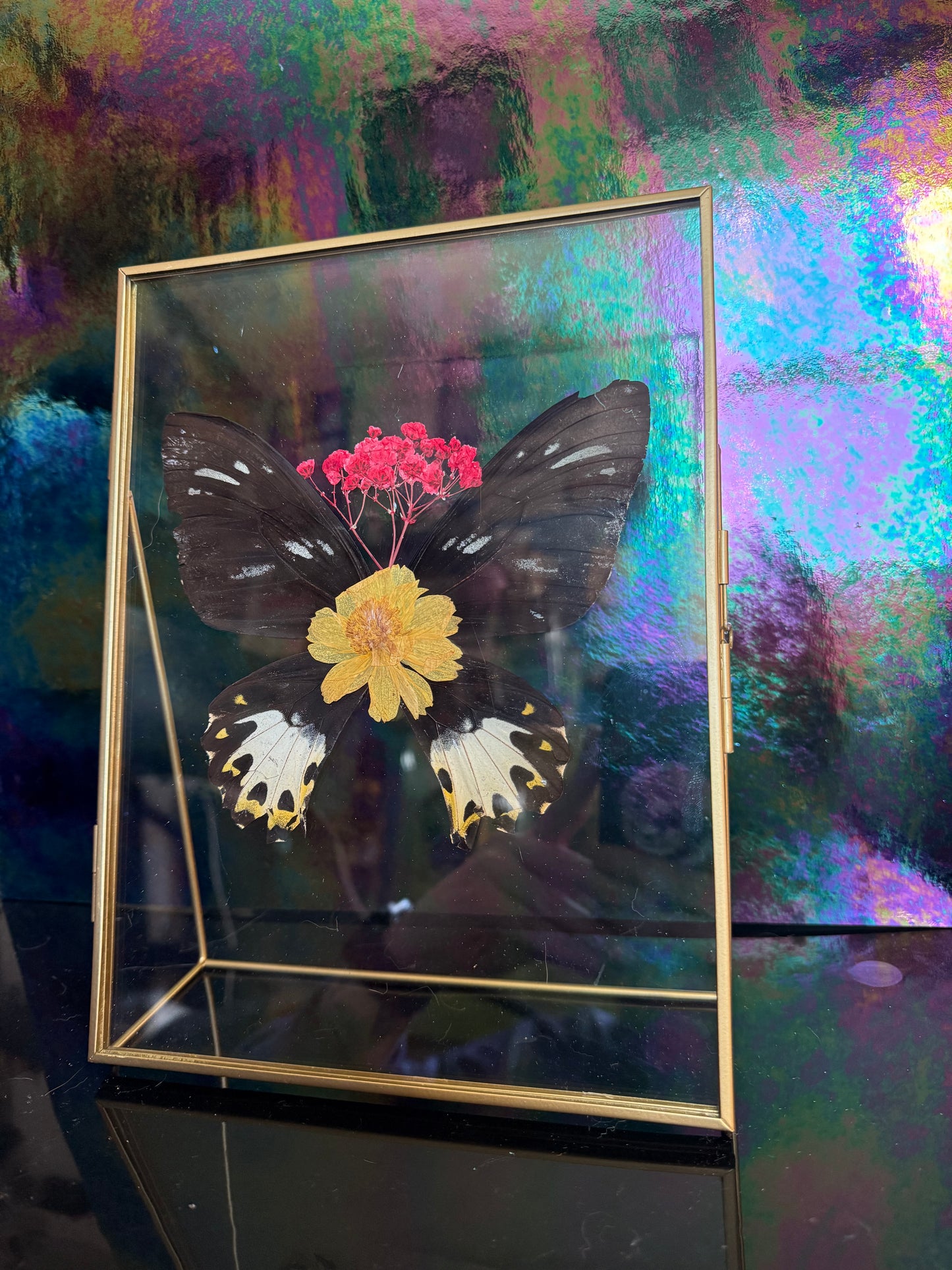 Flora & Fauna Frames — Winged Botanicals