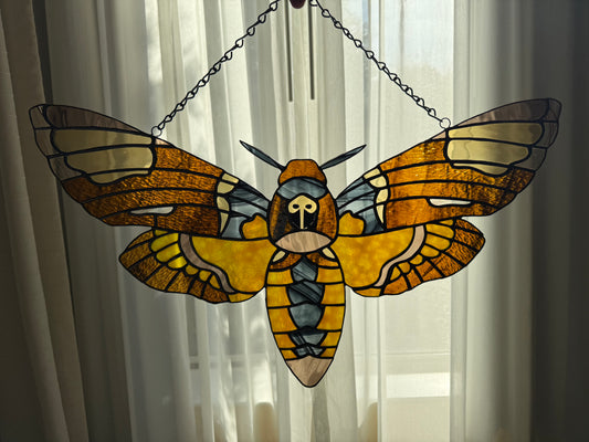 Death's Head Hawk Moth