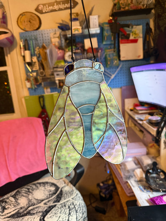 Cicada