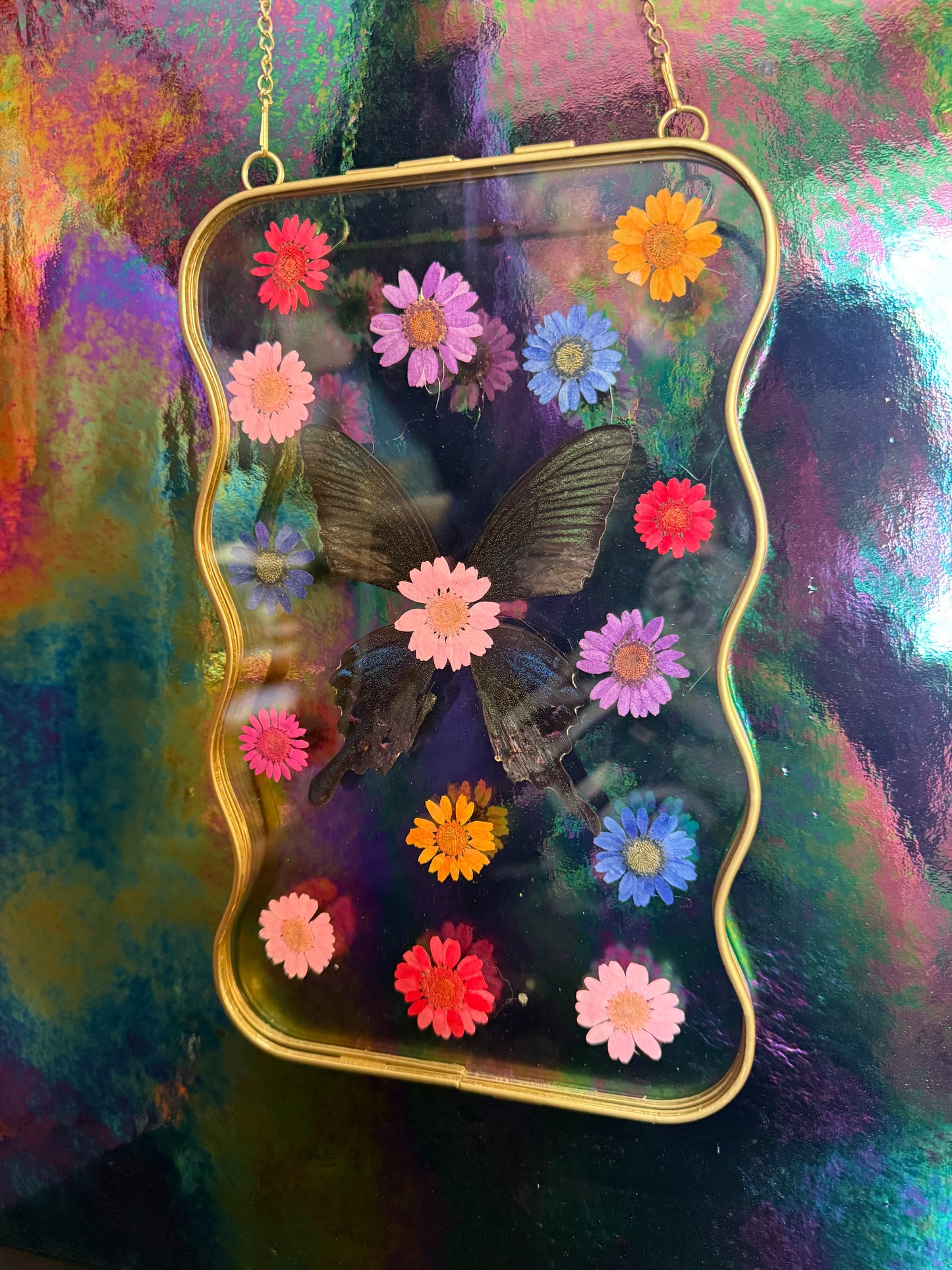 Flora & Fauna Frames — Winged Botanicals