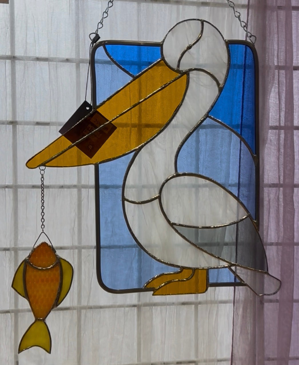 Pelican Tom