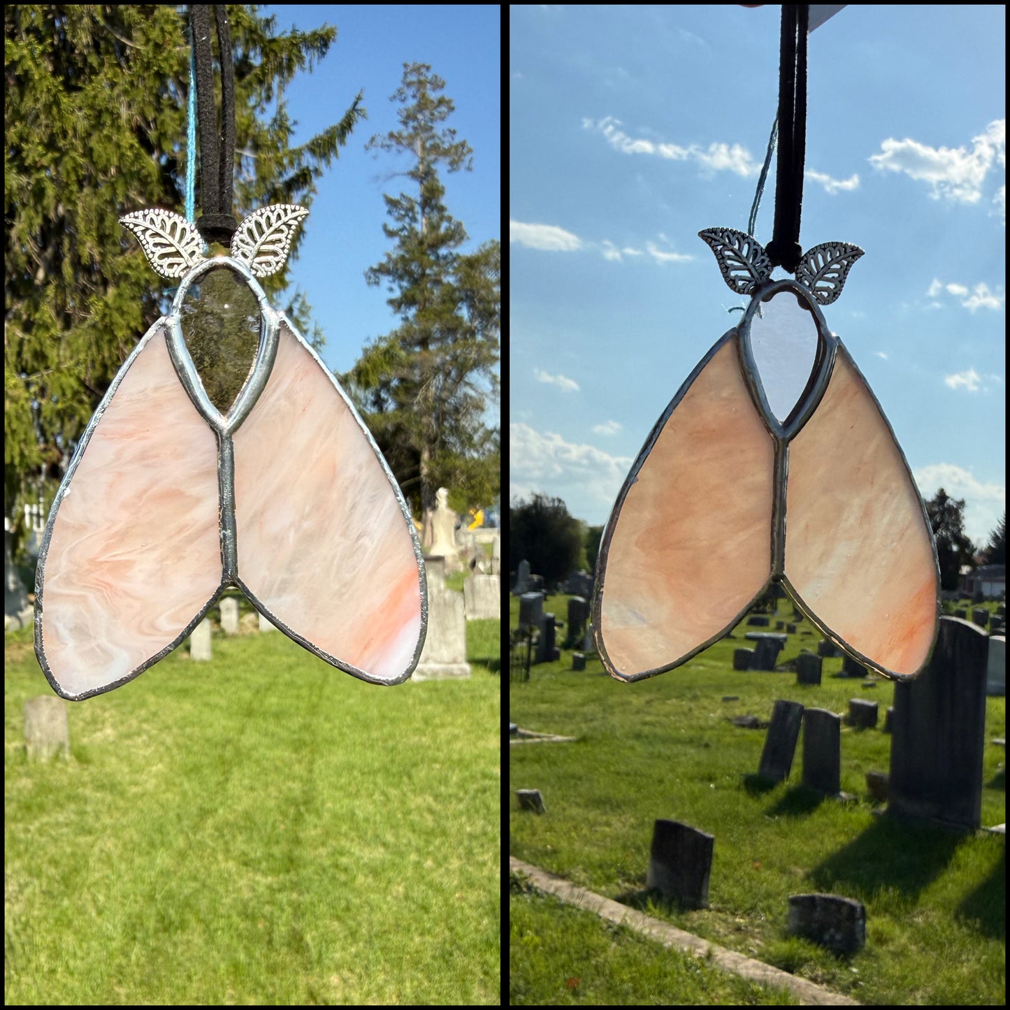 Mini Moths