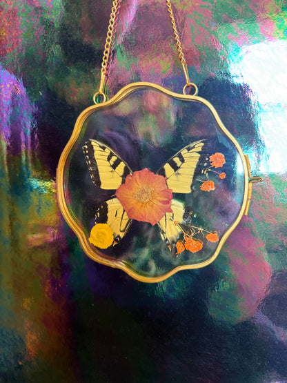 Flora & Fauna Frames — Winged Botanicals