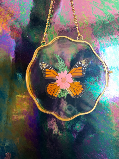 Flora & Fauna Frames — Winged Botanicals
