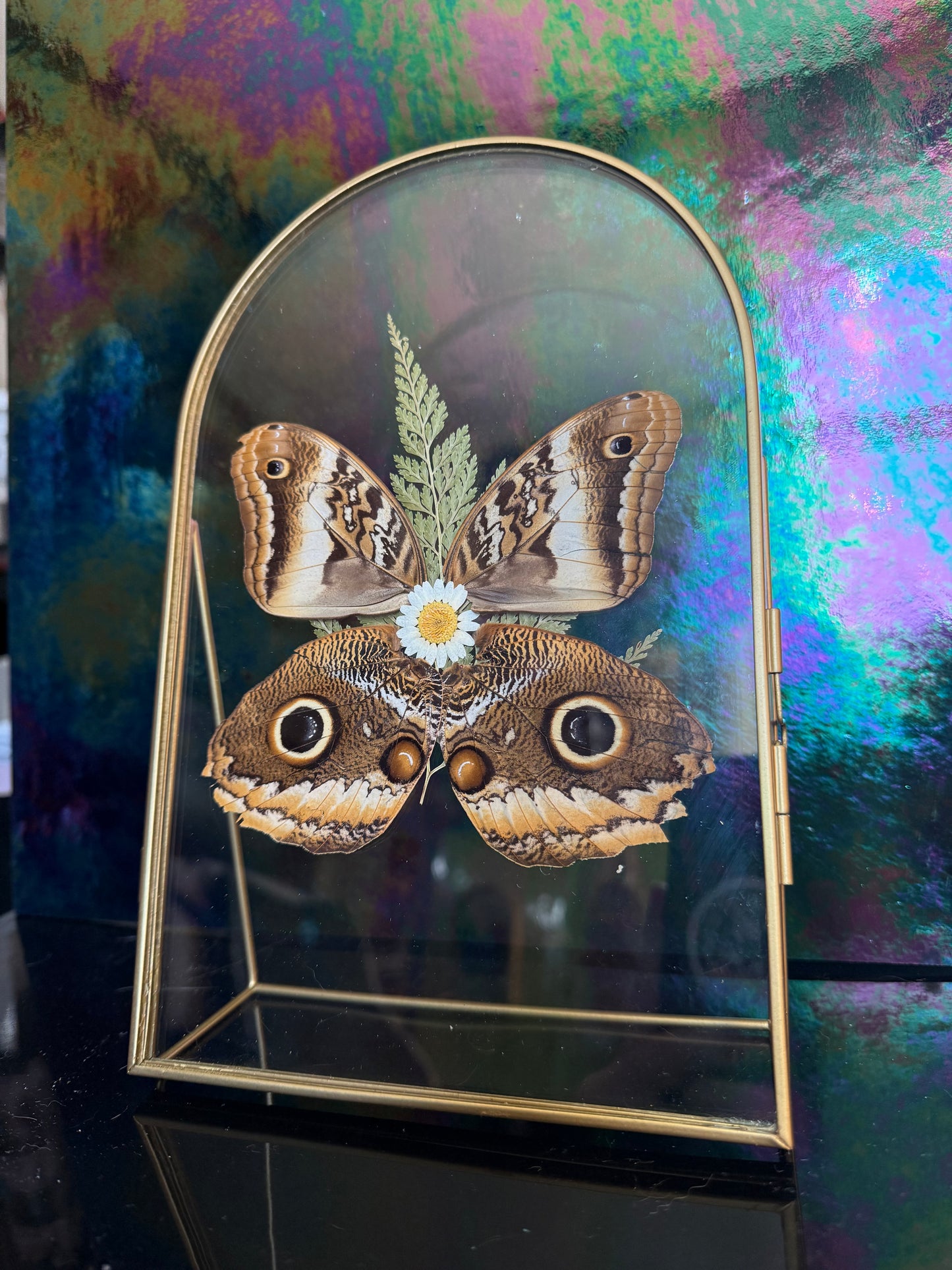Flora & Fauna Frames — Winged Botanicals
