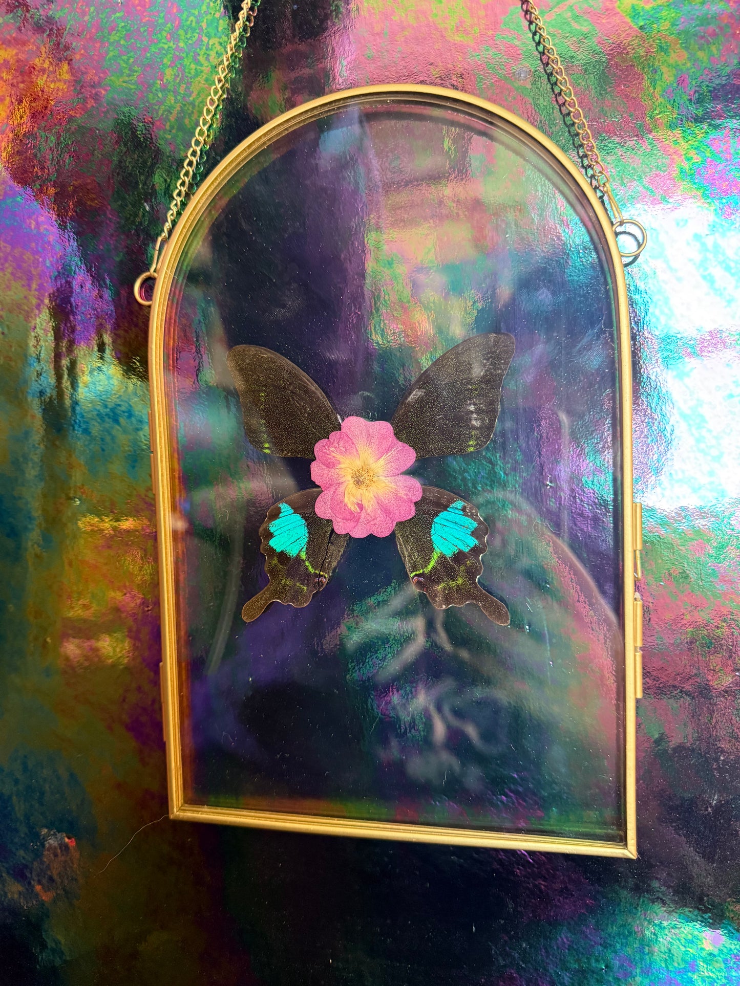 Flora & Fauna Frames — Winged Botanicals