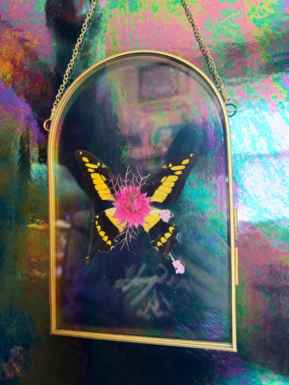 Flora & Fauna Frames — Winged Botanicals
