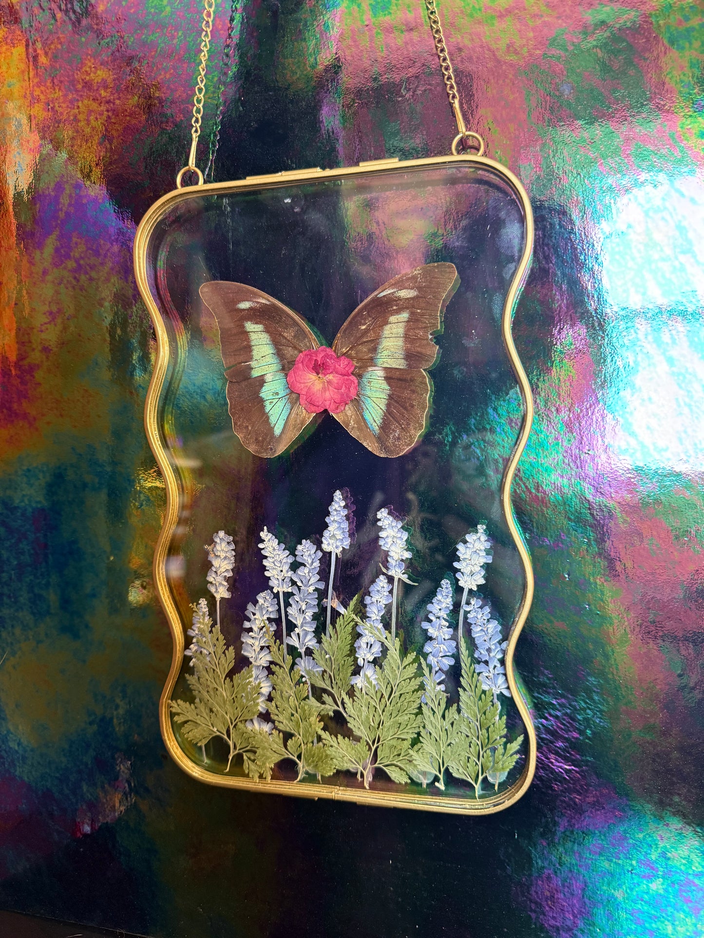 Flora & Fauna Frames — Winged Botanicals