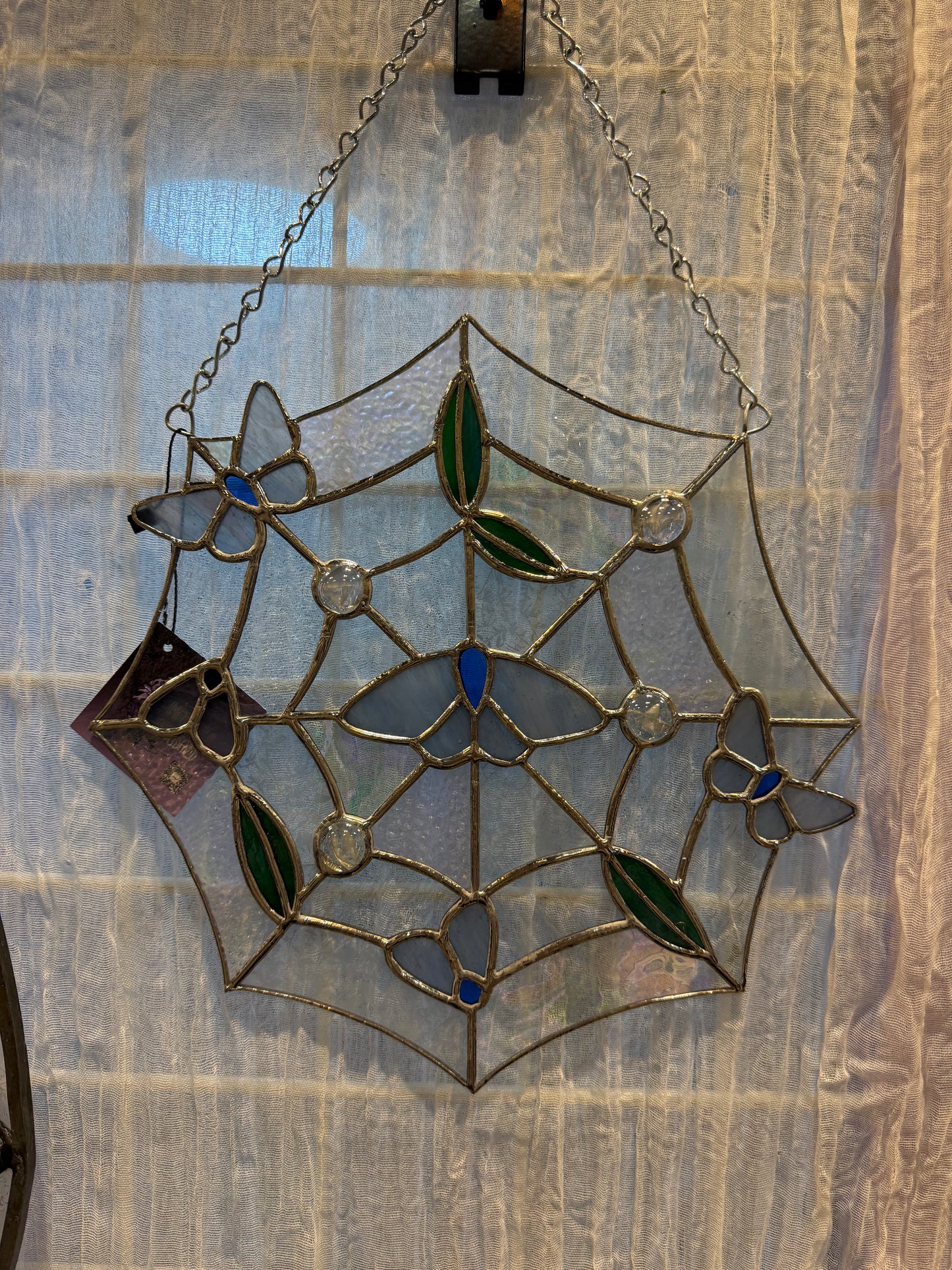 Wings & Webs