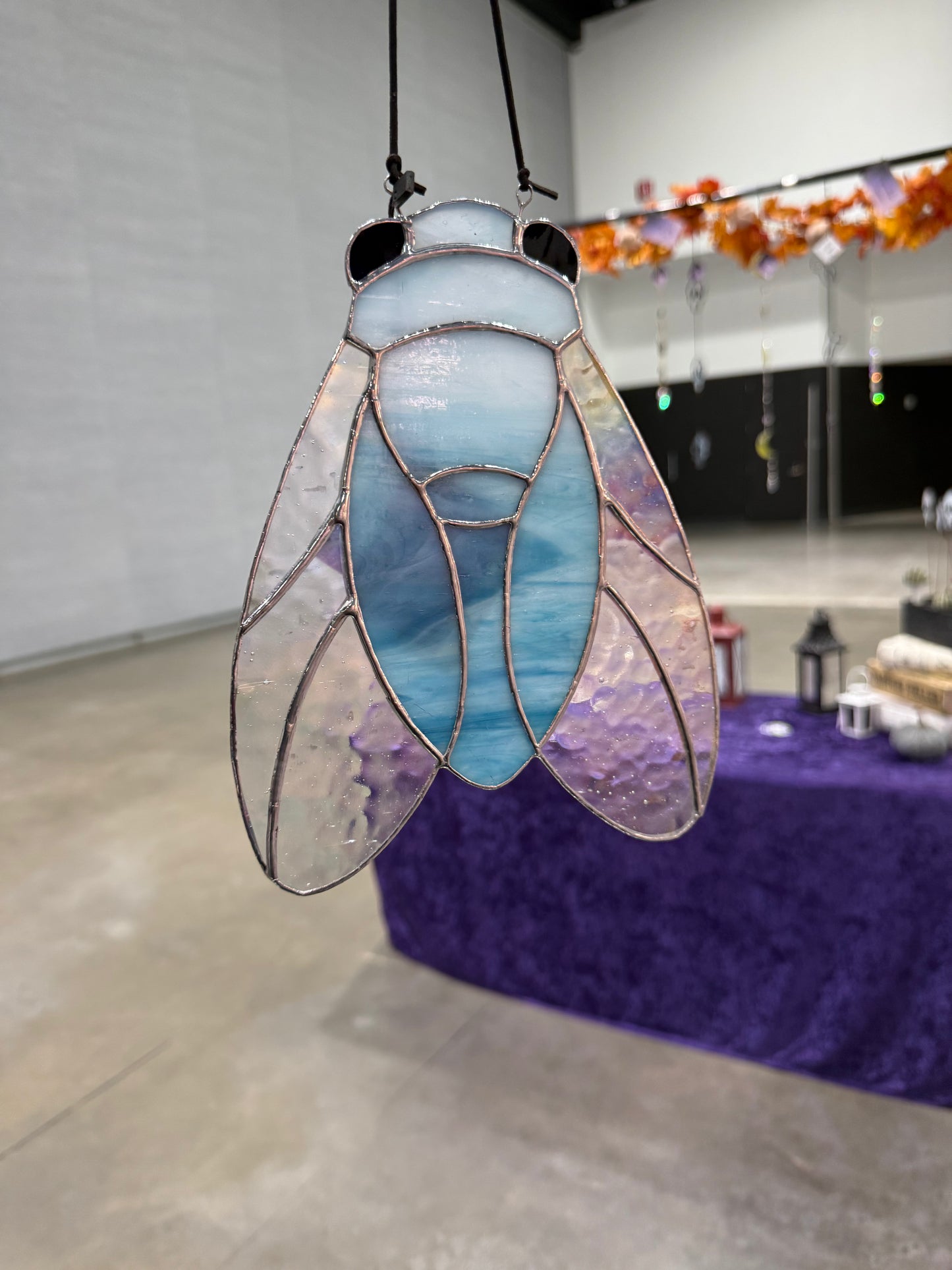 Cicada