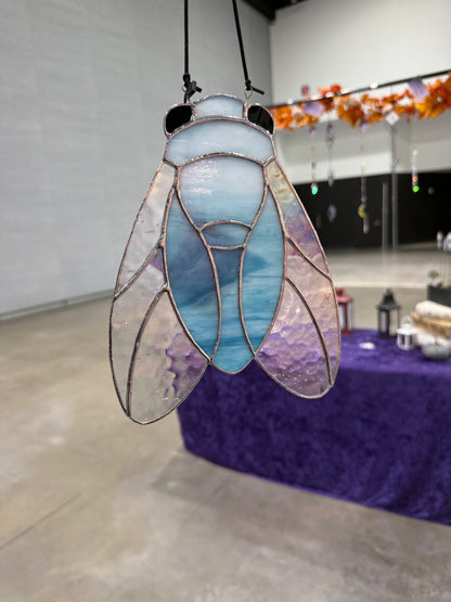 Cicada