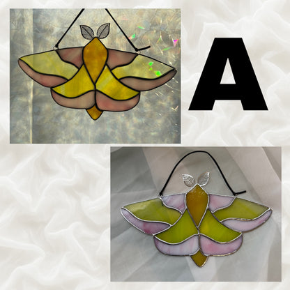 Fauna the Rosy Maple Moth