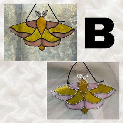 Fauna the Rosy Maple Moth