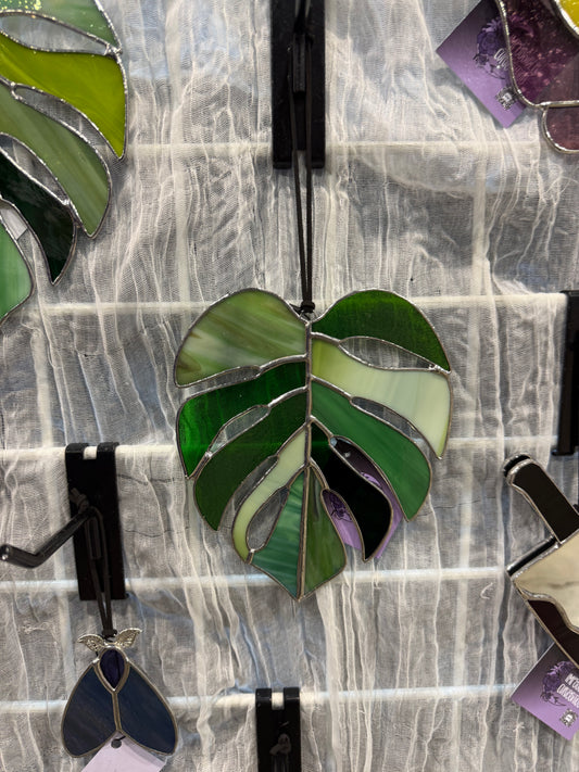 Monstera Leaf