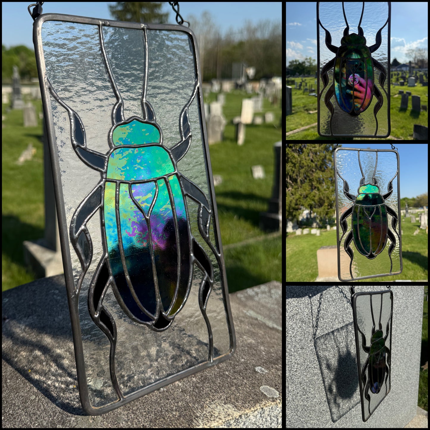 Beetle Study No. 1