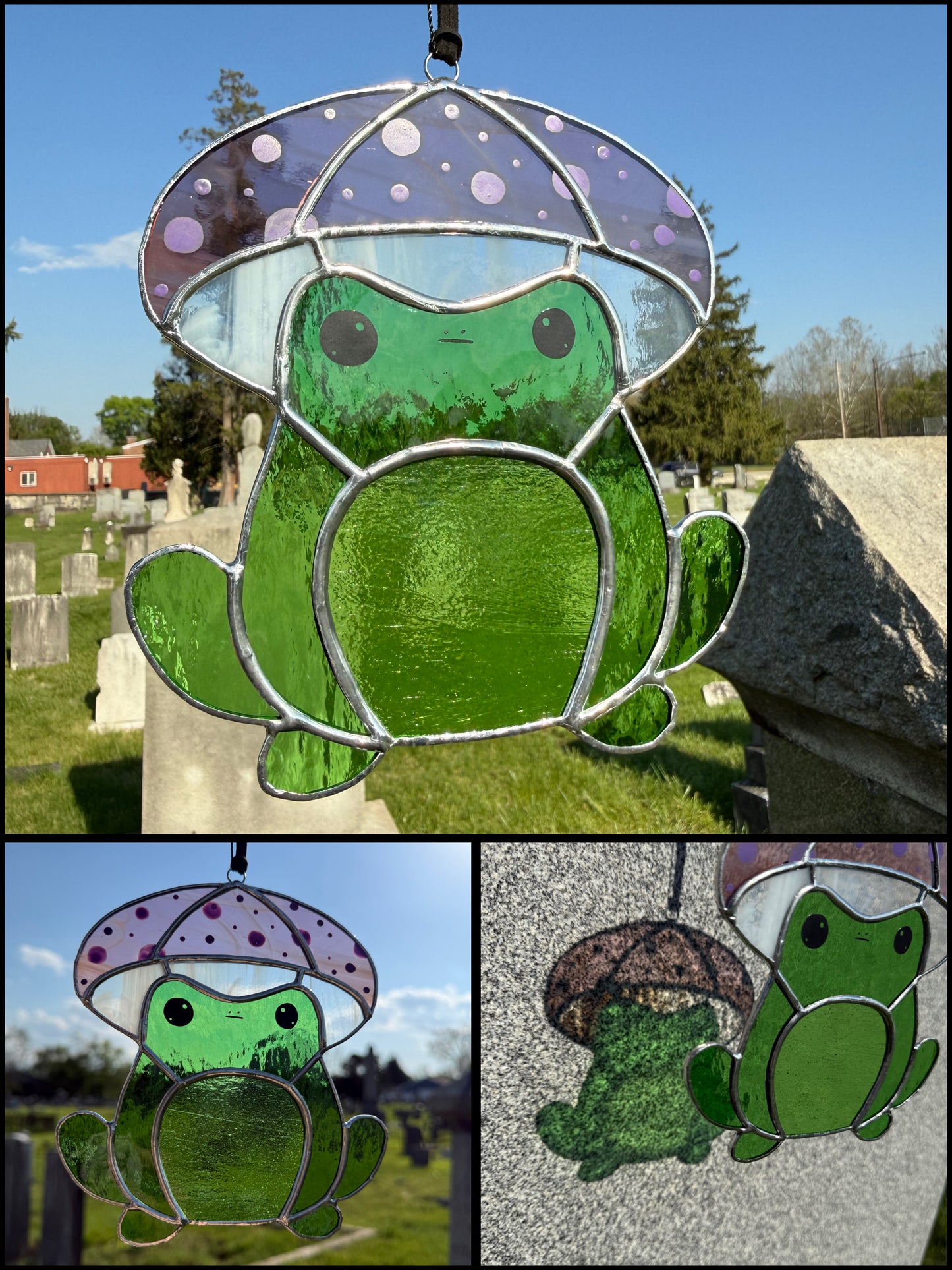 Hermit the Frog