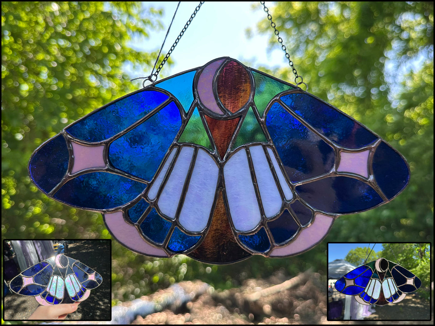 Starlit Lepidoptera