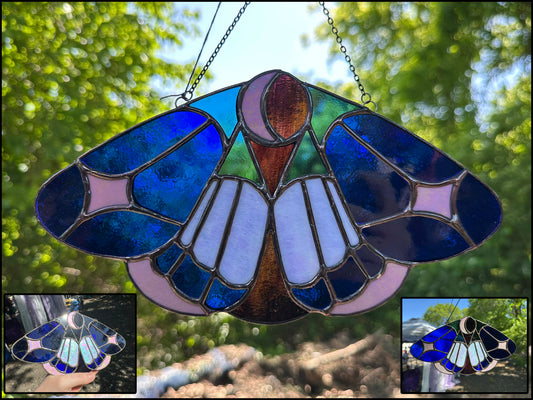Starlit Lepidoptera