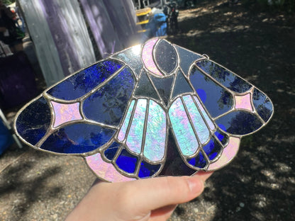 Starlit Lepidoptera