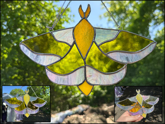 Fauna the Rosy Maple Moth