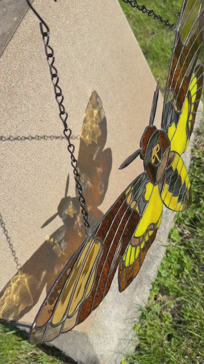 Death's Head Hawk Moth