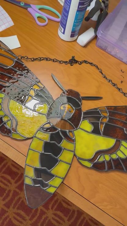 Death's Head Hawk Moth